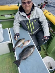 ハナダイ(チダイ)・メジナ・イサキ