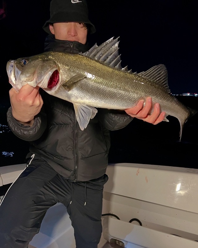 シーバス(スズキ)