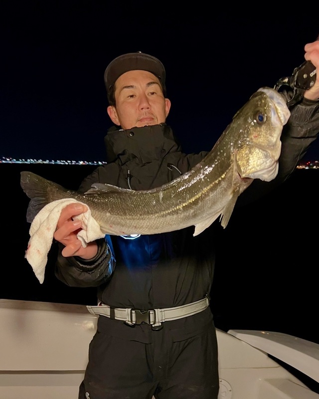 シーバス(スズキ)