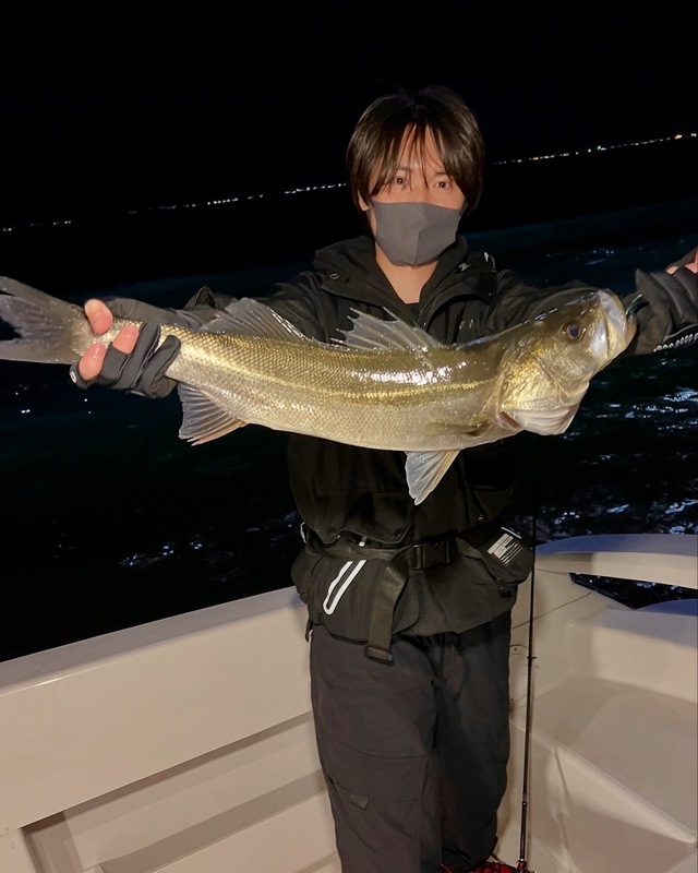 シーバス(スズキ)