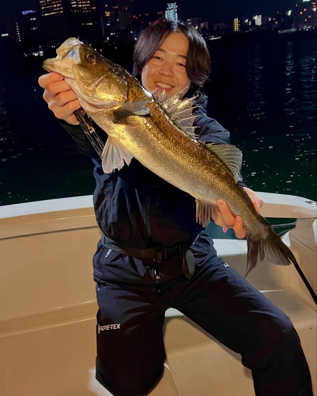 シーバス(スズキ)