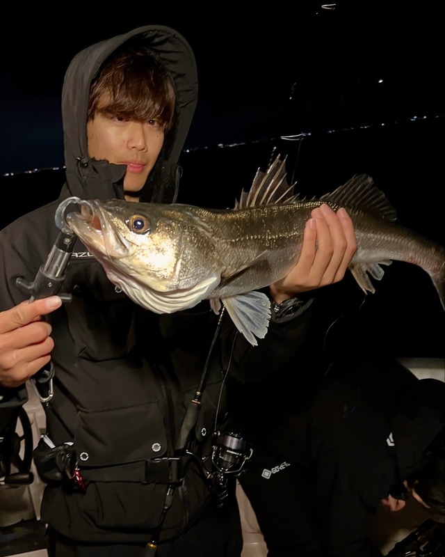 シーバス(スズキ)