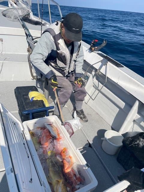 レンコ(キダイ)・アオナ(アオハタ)