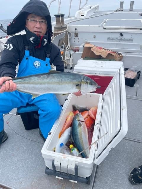 アカイサキ・ヒラマサ