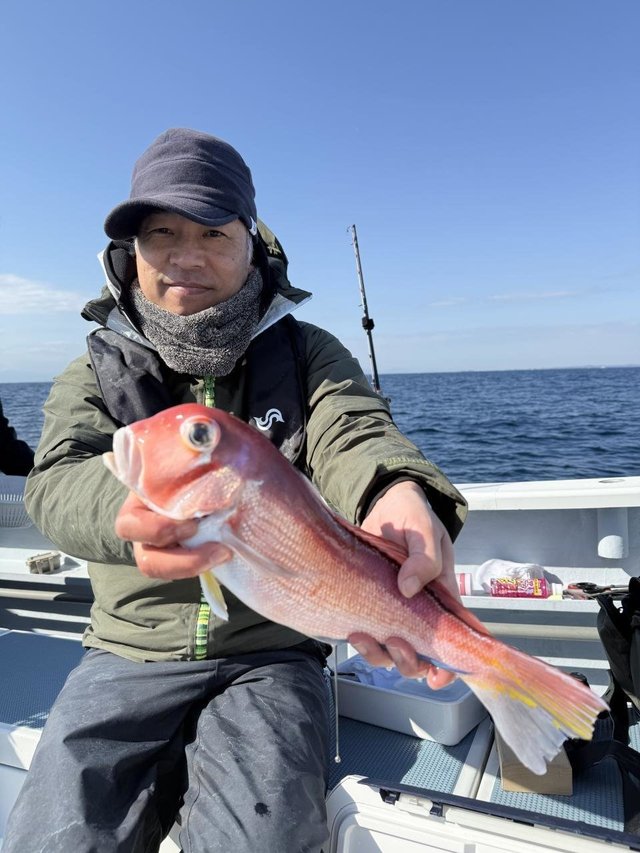 アマダイ(アカアマダイ)