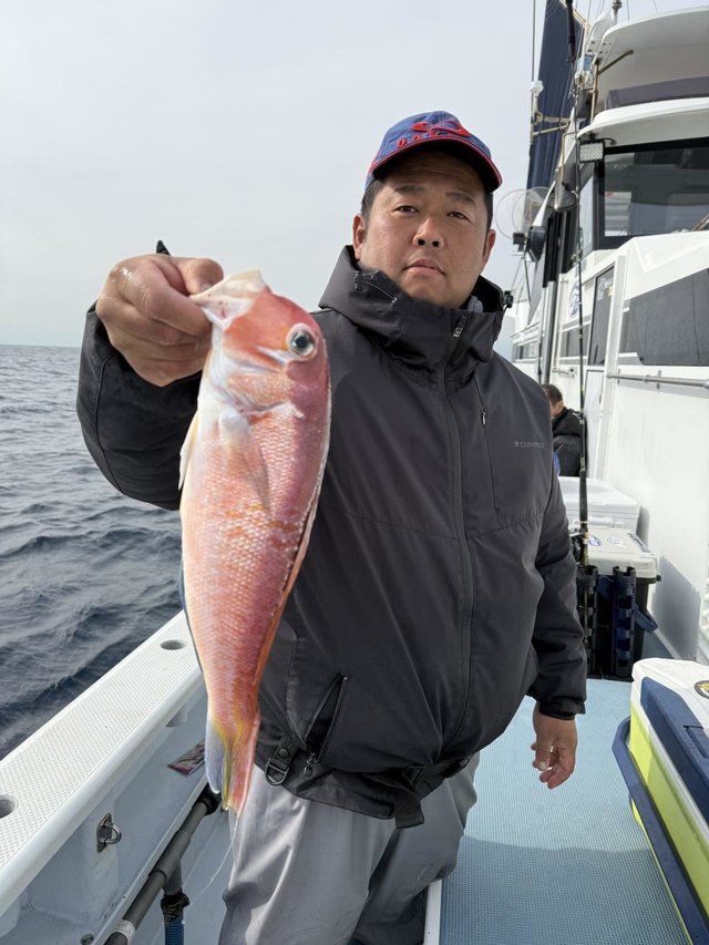 アマダイ(アカアマダイ)