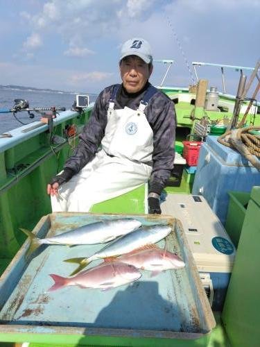 マダイ・イナダ(ブリ)