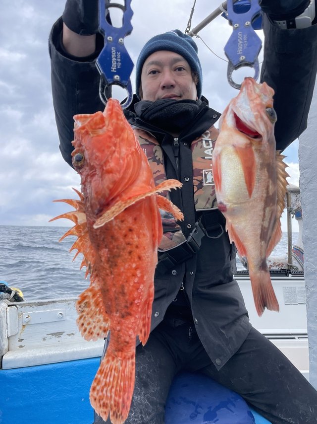 オニカサゴ・メバル