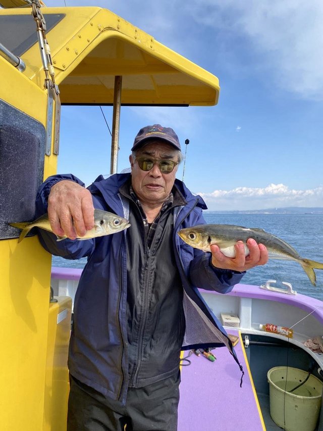 アジ(マアジ)・サバ(ゴマサバ)