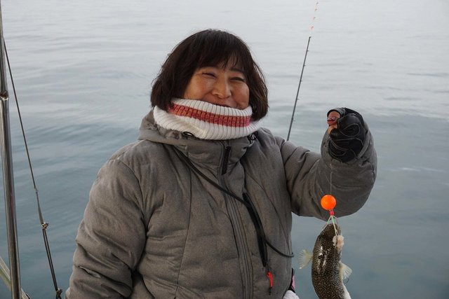 ショウサイフク(ショウサイフグ)