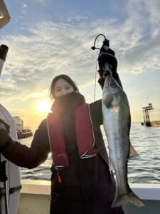 シーバス(スズキ)