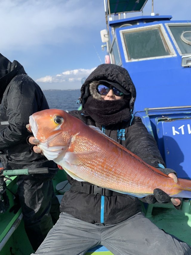 アマダイ(アカアマダイ)