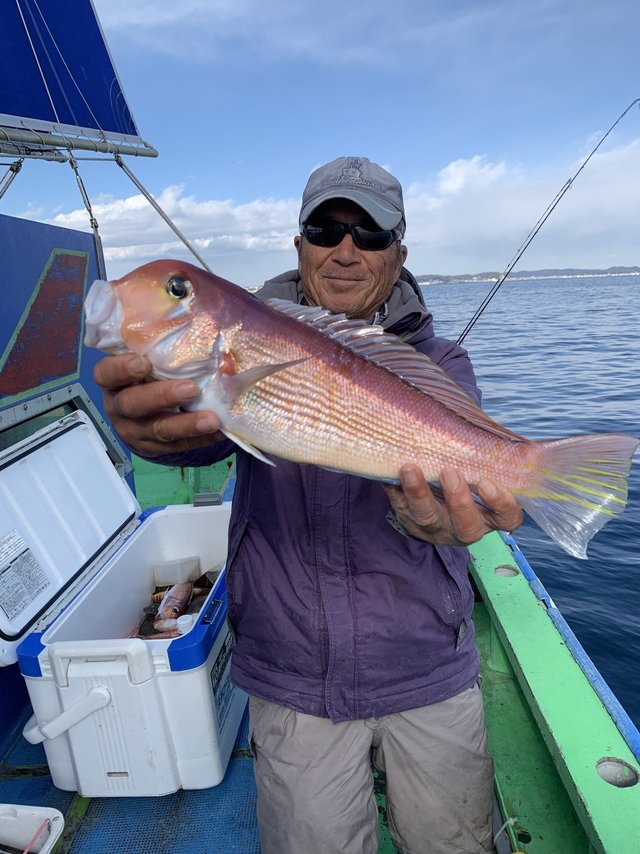 アマダイ(アカアマダイ)