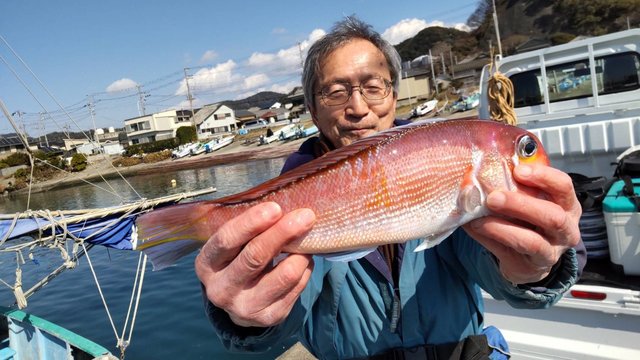 アマダイ(アカアマダイ)