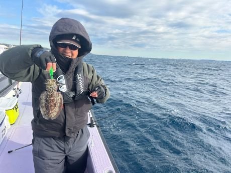 スミイカ(コウイカ)