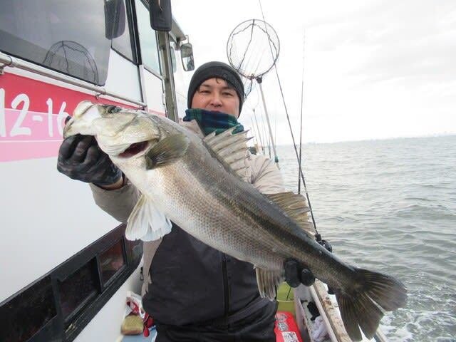 シーバス(スズキ)