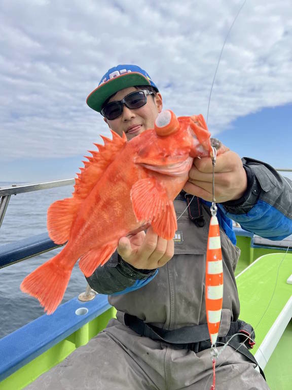 アコウ(キジハタ)