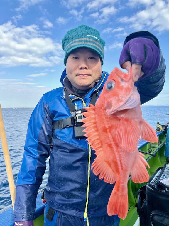 アコウ(キジハタ)