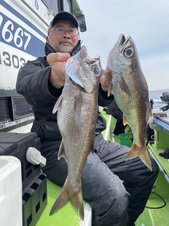 シロムツ(オオメハタ)