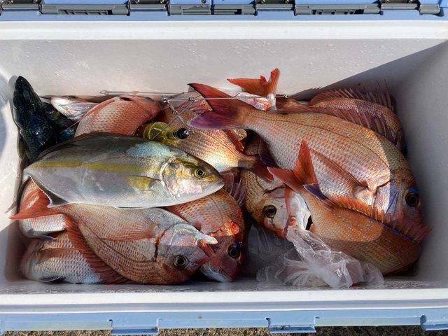 マダイ・ハナダイ(チダイ)・イシダイ・カンパチ・サバ(マサバ)・ウマヅラ(ウマヅラハギ)