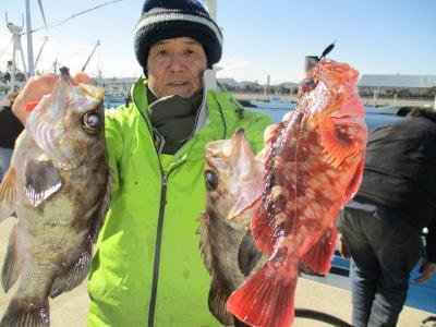 カサゴ・クロメバル(メバル)