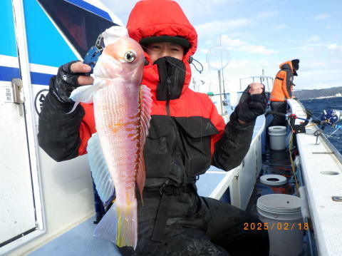 アマダイ(アカアマダイ)