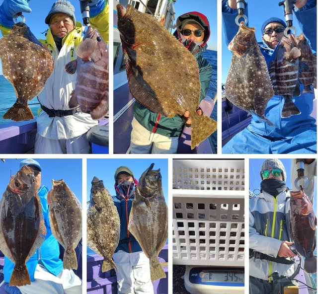 マハタ・ヒラメ