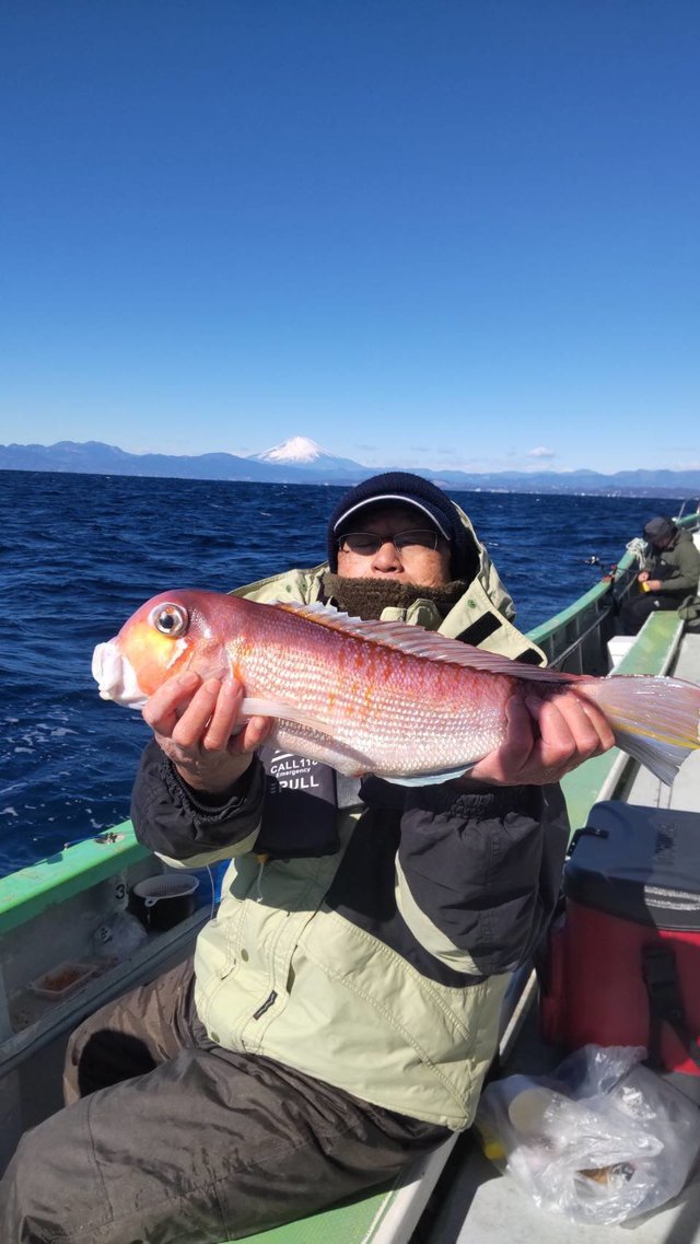 アマダイ(アカアマダイ)