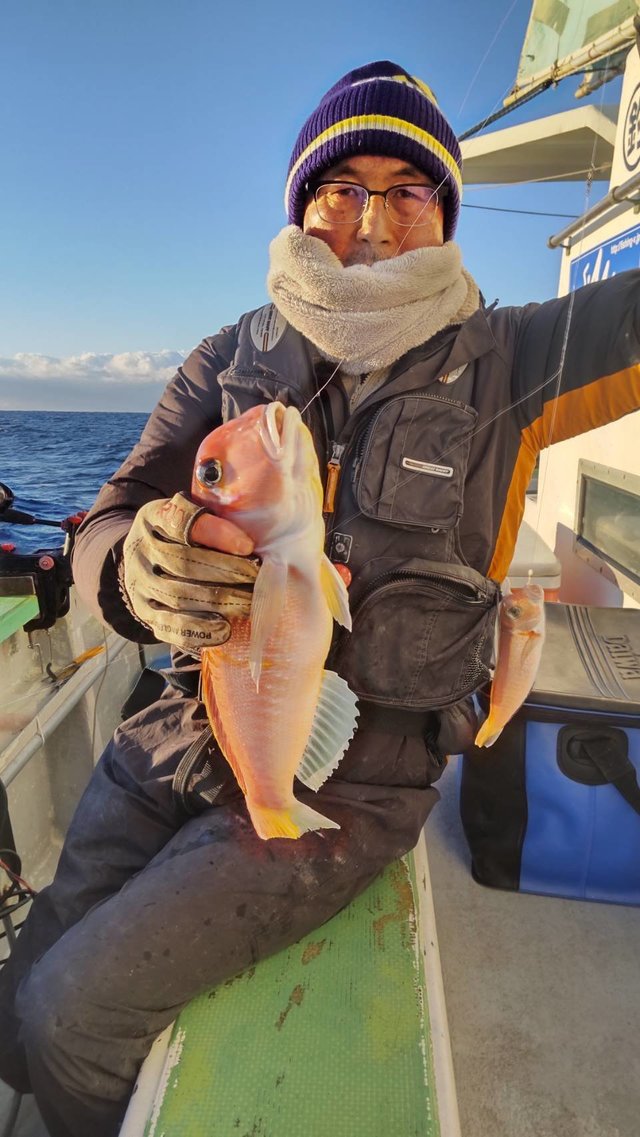 アマダイ(アカアマダイ)