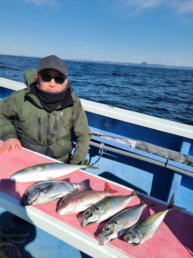 マダイ・ワラサ(ブリ)