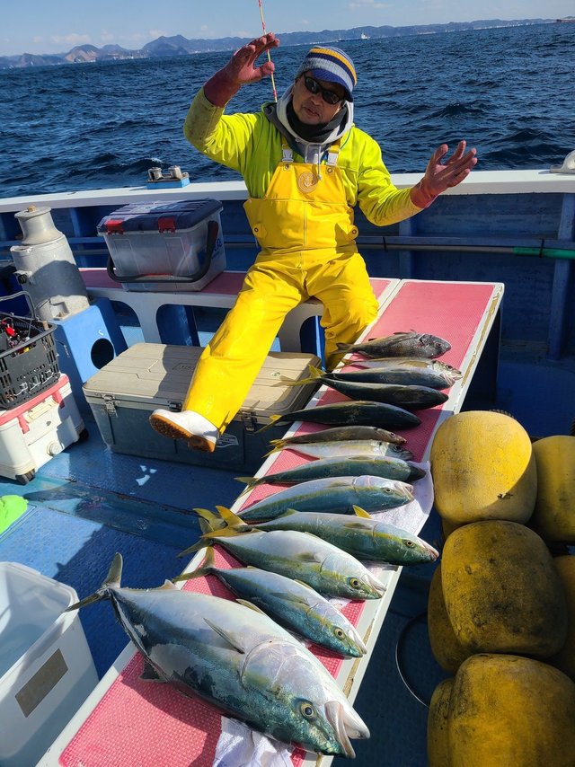 イナダ(ブリ)・ワラサ(ブリ)