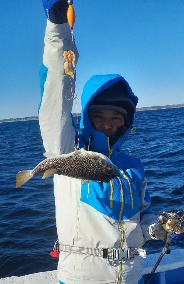 ショウサイフグ