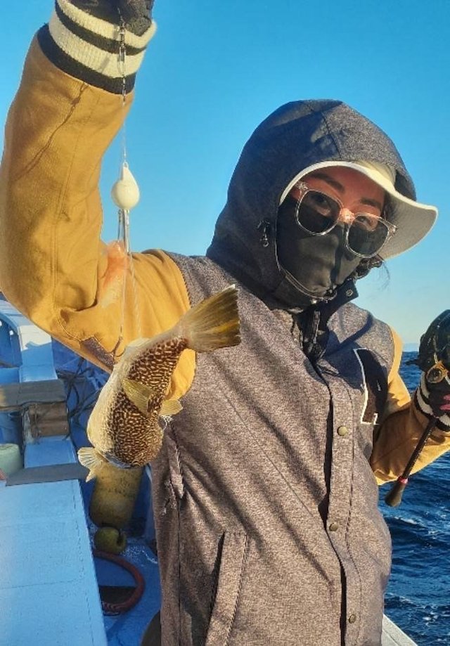 ショウサイフグ