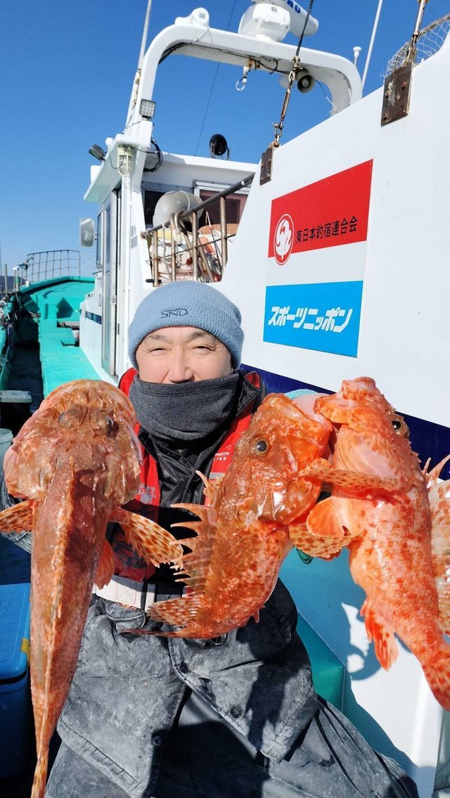 オニカサゴ(イズカサゴ)