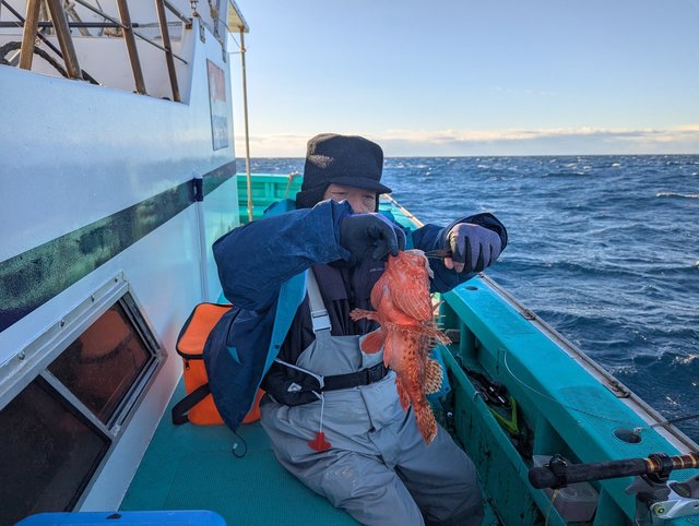 オニカサゴ(イズカサゴ)