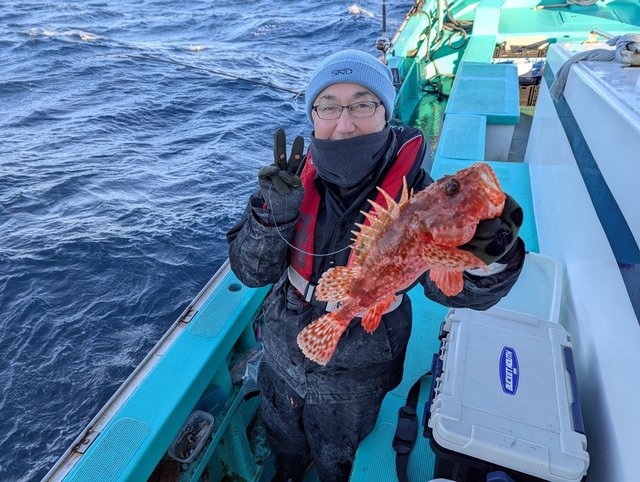 オニカサゴ(イズカサゴ)