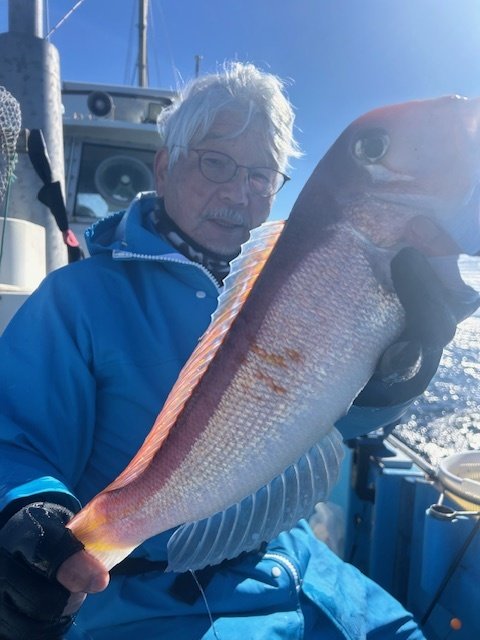 アマダイ(アカアマダイ)