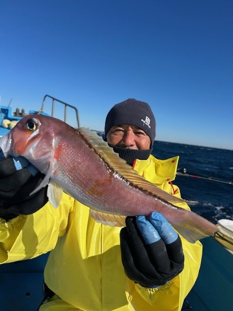 アマダイ(アカアマダイ)