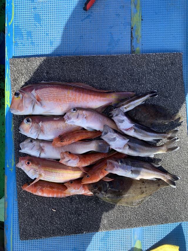 アマダイ(アカアマダイ)