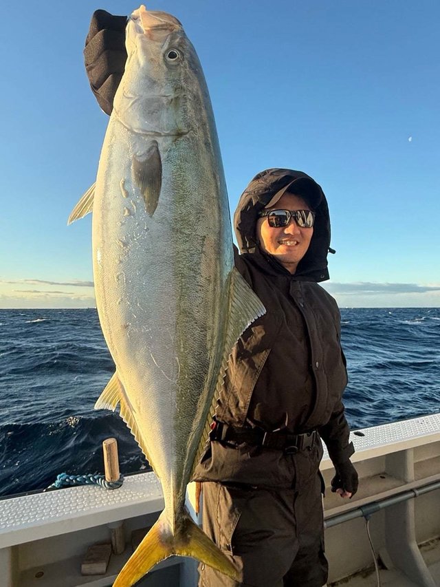 サンパク(ブリ)