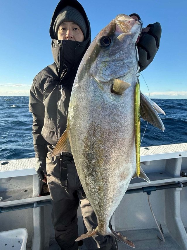 ヒレナガカンパチ