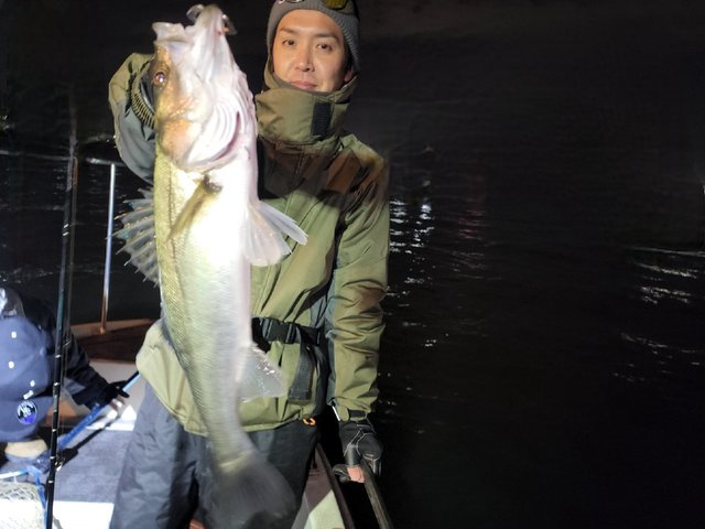 シーバス(スズキ)