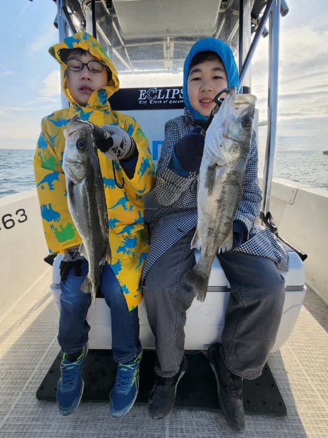 シーバス(スズキ)