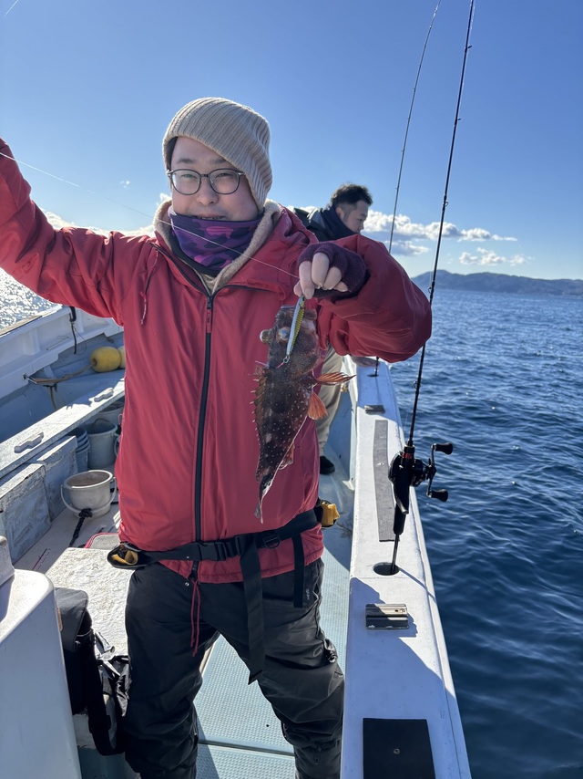 カンコ(ウッカリカサゴ)