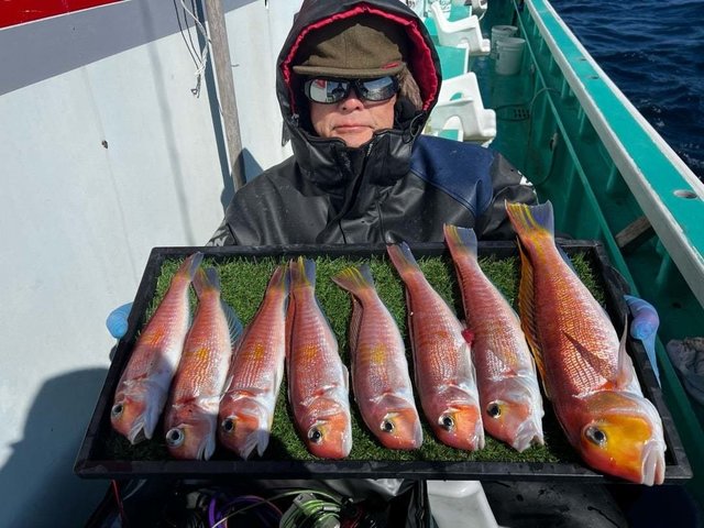 アマダイ(アカアマダイ)