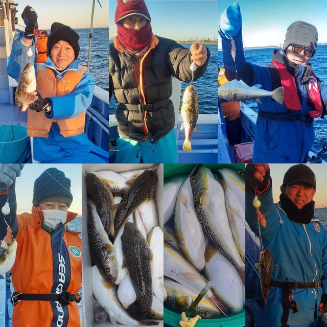 ショウサイフグ