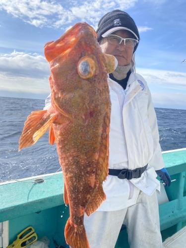 ウッカリカサゴ