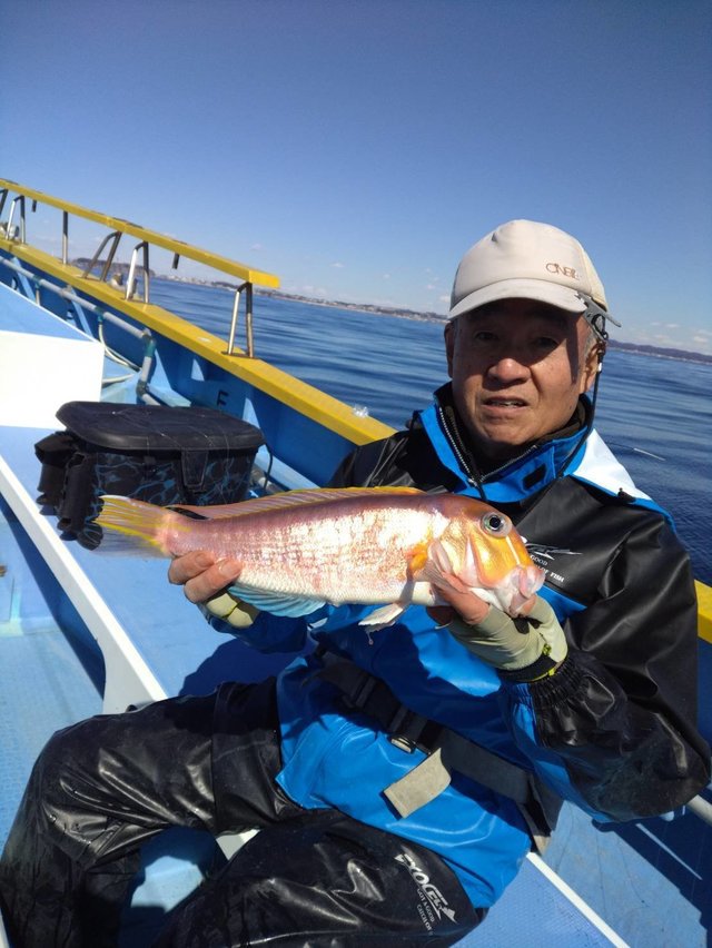 アマダイ(アカアマダイ)