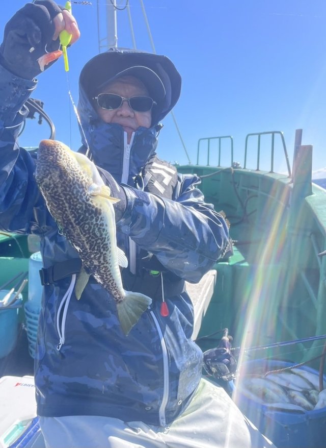 ショウサイフグ