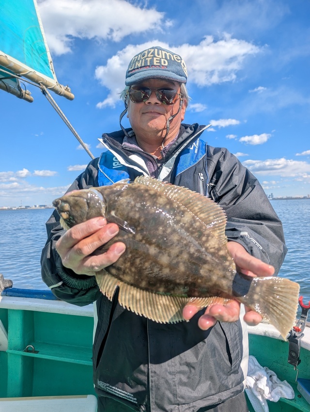 カレイ(マコガレイ)
